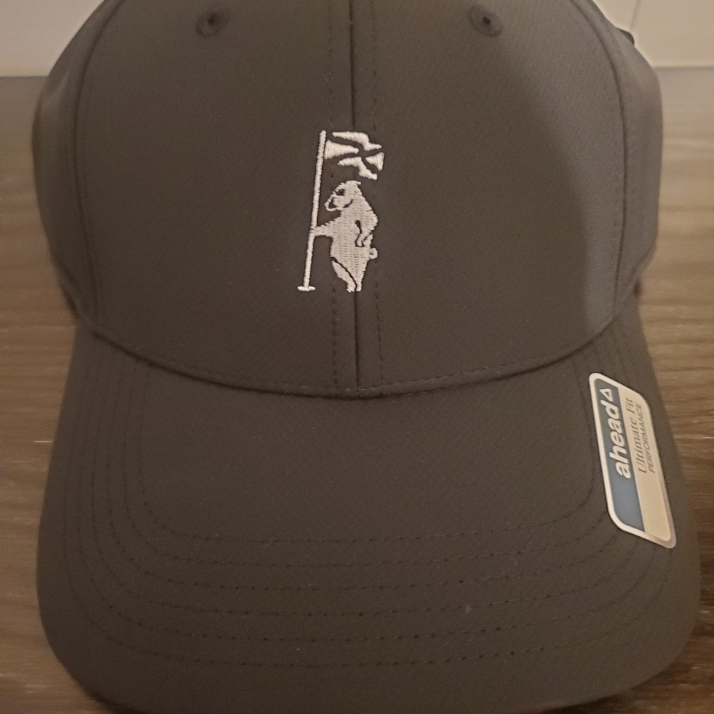 Dark Gray Cap with Embroidered Design